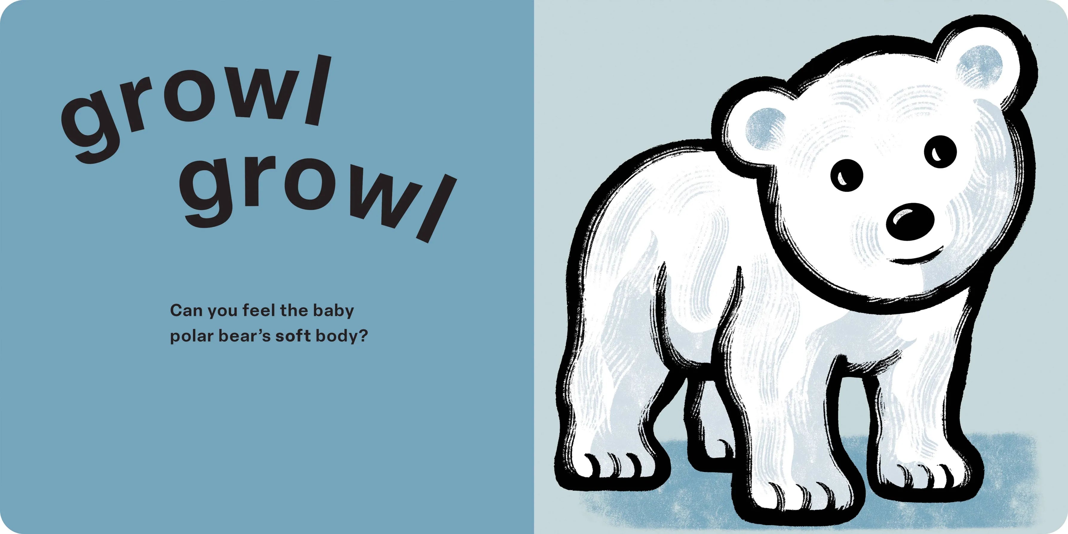 Touch and Feel: Snow Babies Hachette Lil Tulips