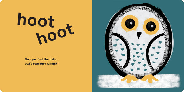 Touch and Feel: Snow Babies Hachette Lil Tulips