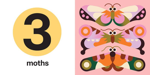 Touch and Trace: Numbers Hachette Lil Tulips
