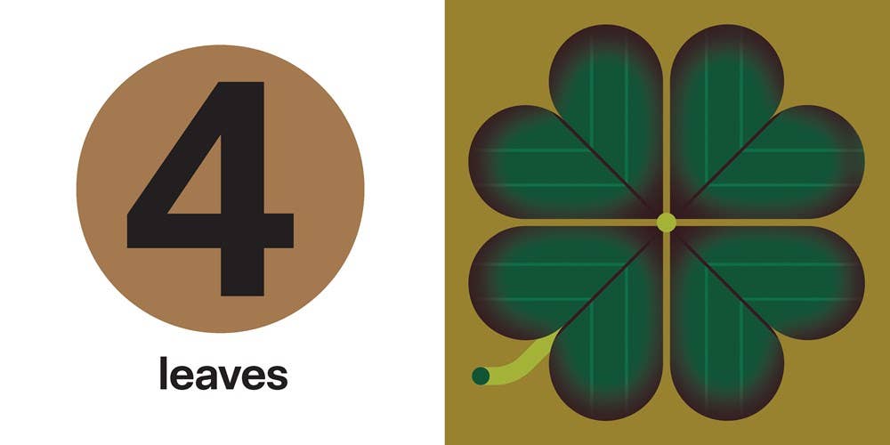 Touch and Trace: Numbers Hachette Lil Tulips