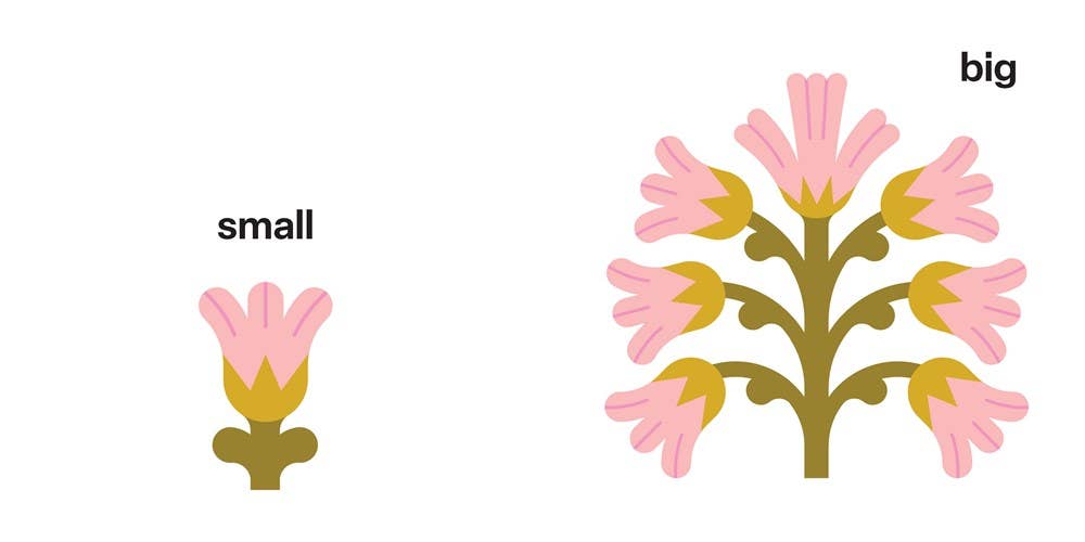 Touch and Trace: Opposites Hachette Lil Tulips