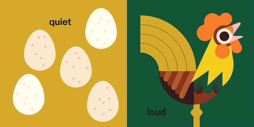 Touch and Trace: Opposites Hachette Lil Tulips