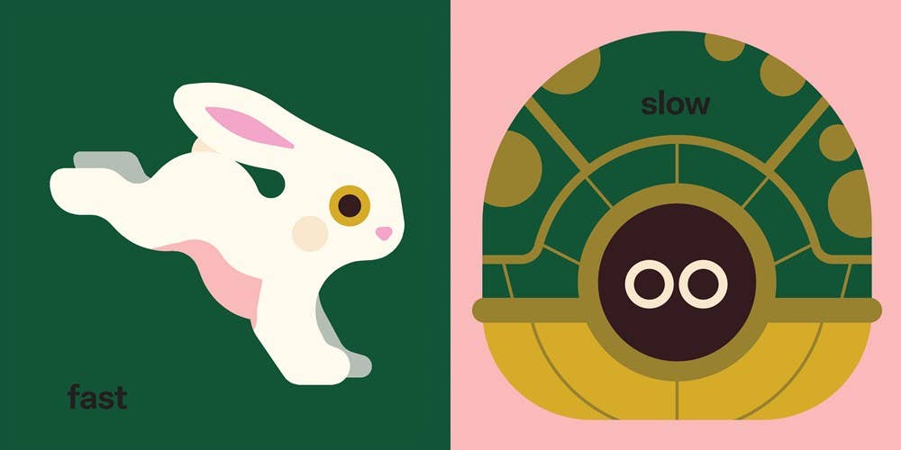 Touch and Trace: Opposites Hachette Lil Tulips