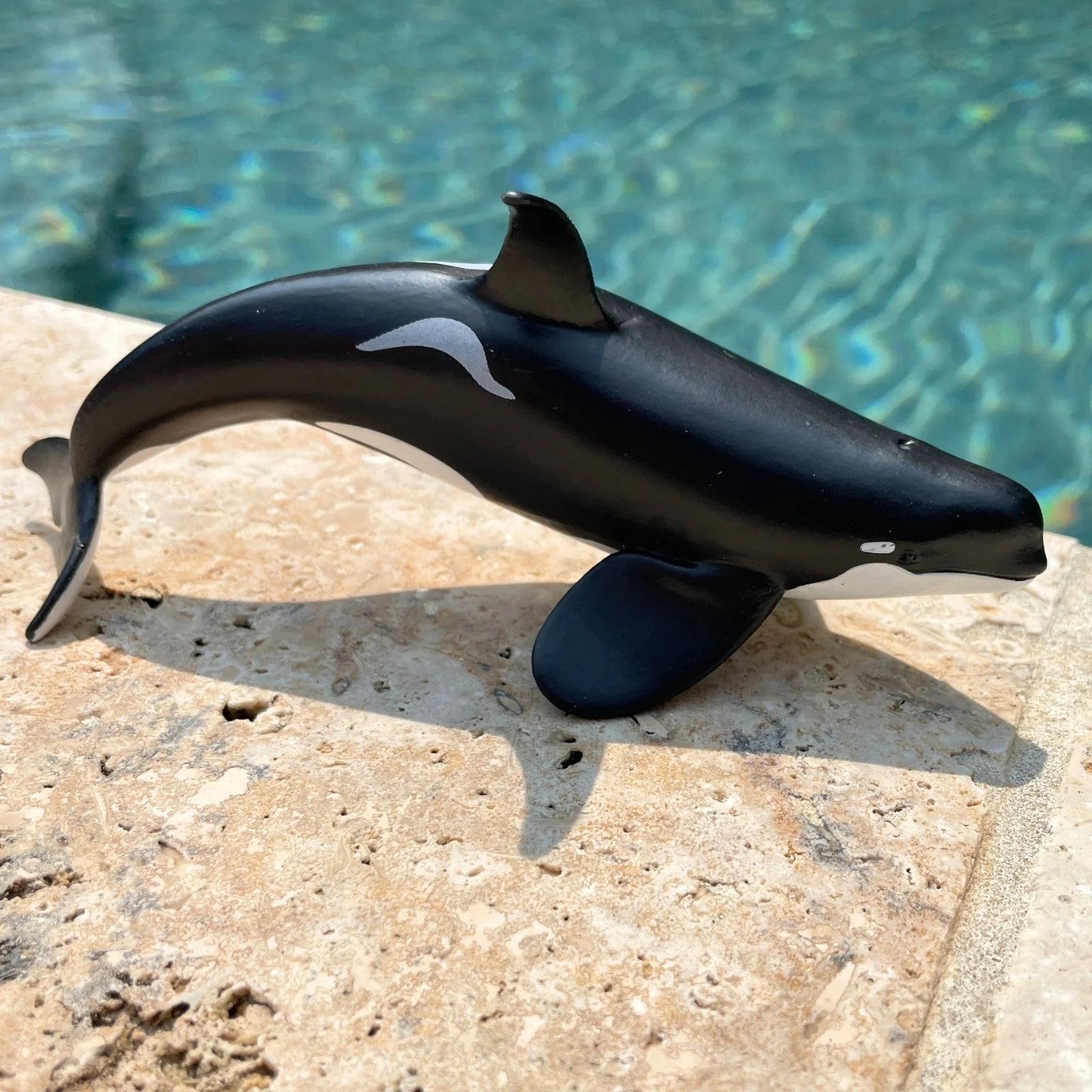 Type D Orca Toy Safari Ltd