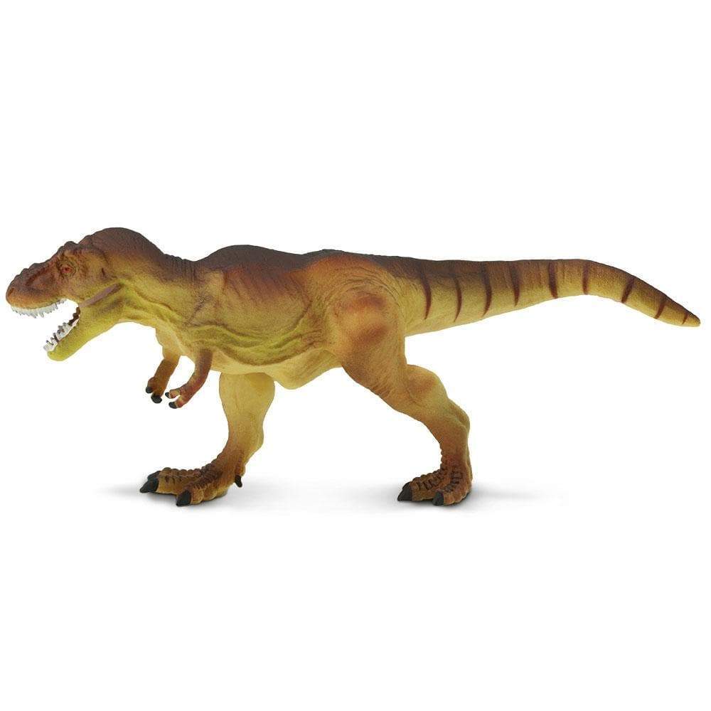 Tyrannosaurus Rex Toy Safari Ltd Lil Tulips