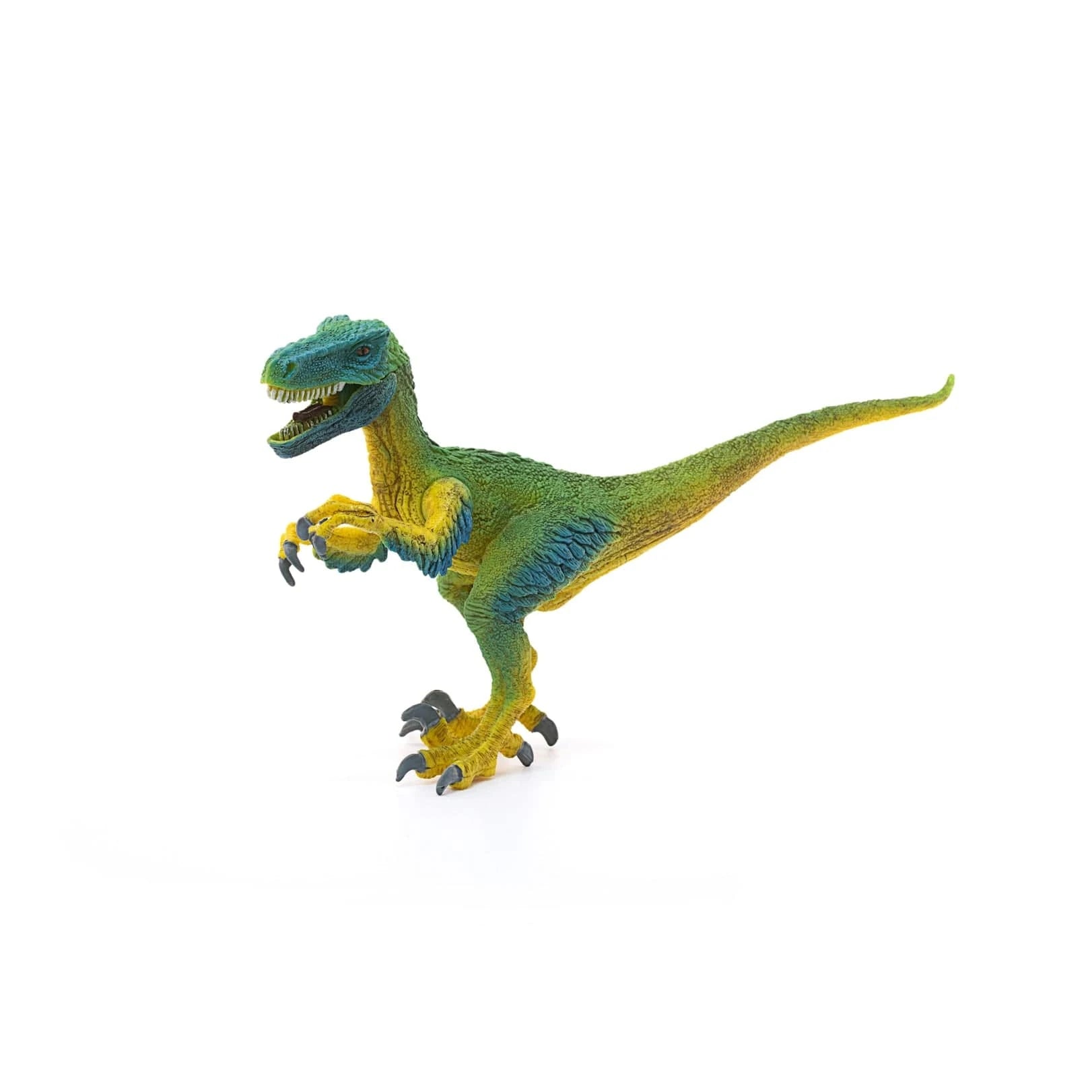 Velociraptor Dinosaur Toy Schleich Lil Tulips