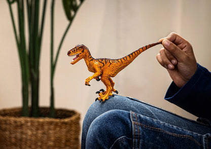 Velociraptor Dinosaure Toy Schleich Lil Tulips