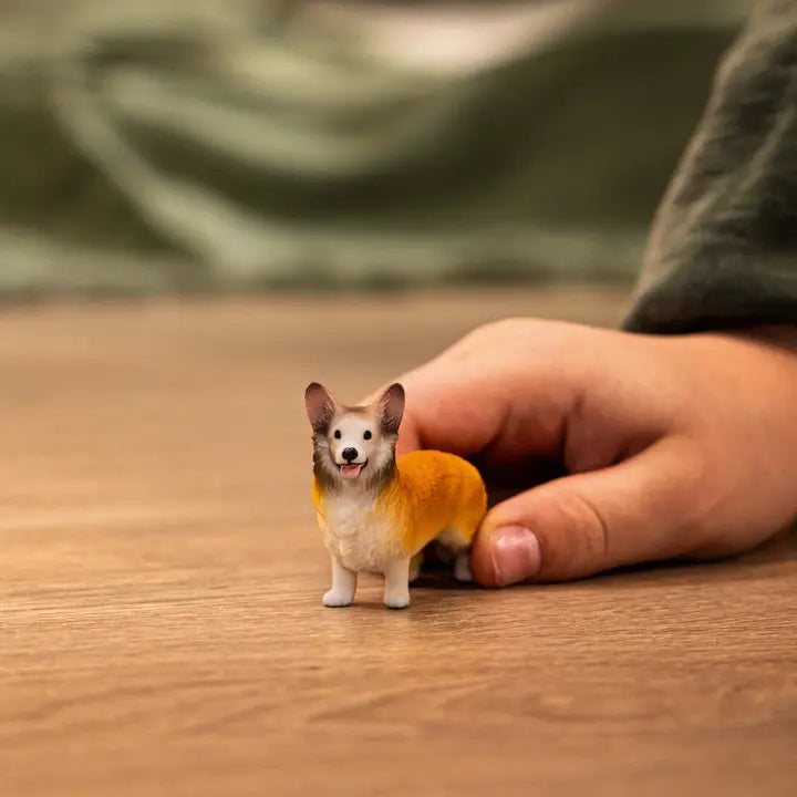 Welsh Corgie Dog Animal Toy Schleich Lil Tulips