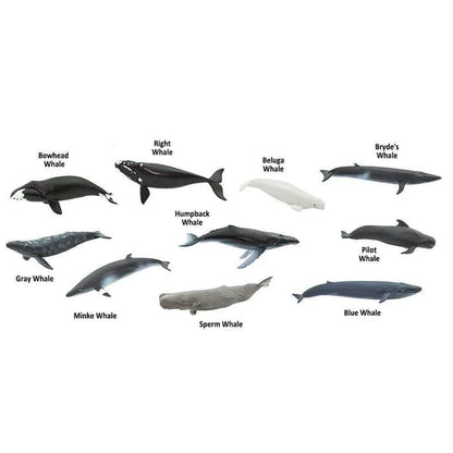 Whale Figurines TOOB® Safari Ltd Lil Tulips