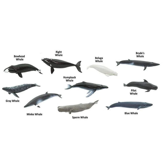 Whale Figurines TOOB® Safari Ltd Lil Tulips
