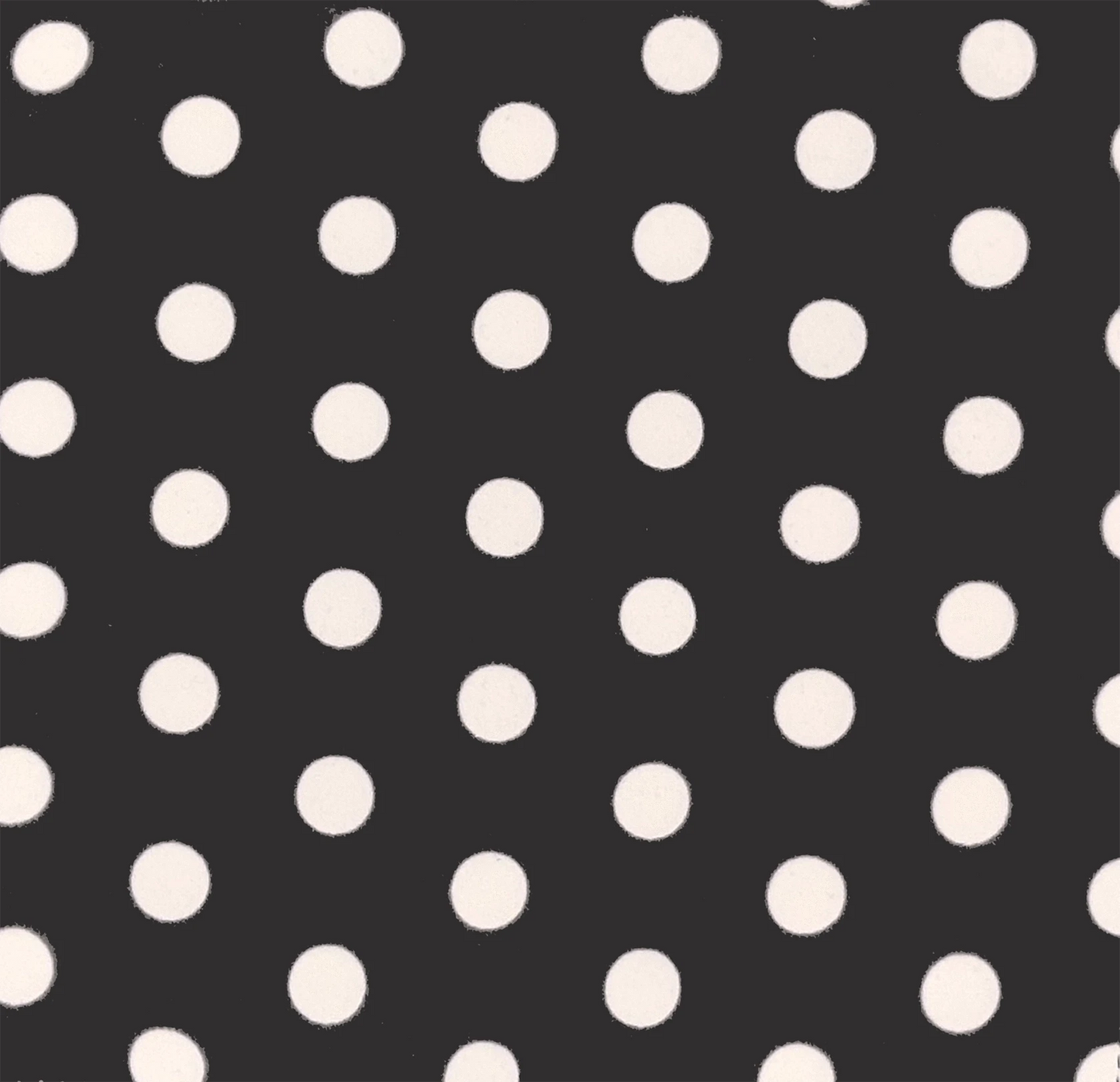 White & Black Dots Baby Paper with Loop Baby Paper Lil Tulips