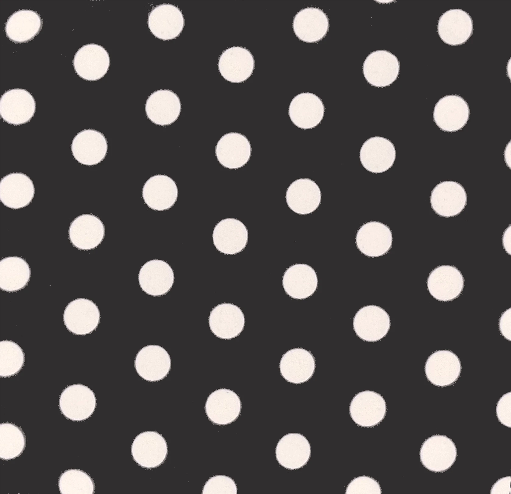 White & Black Dots Baby Paper with Loop Baby Paper Lil Tulips
