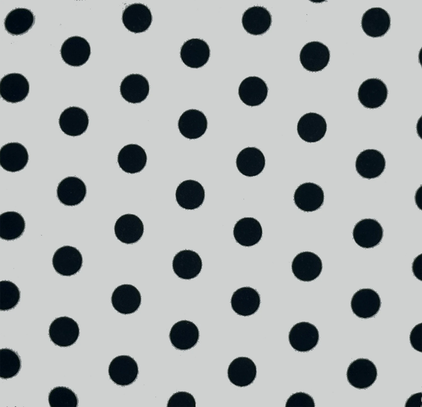 White & Black Dots Baby Paper with Loop Baby Paper Lil Tulips