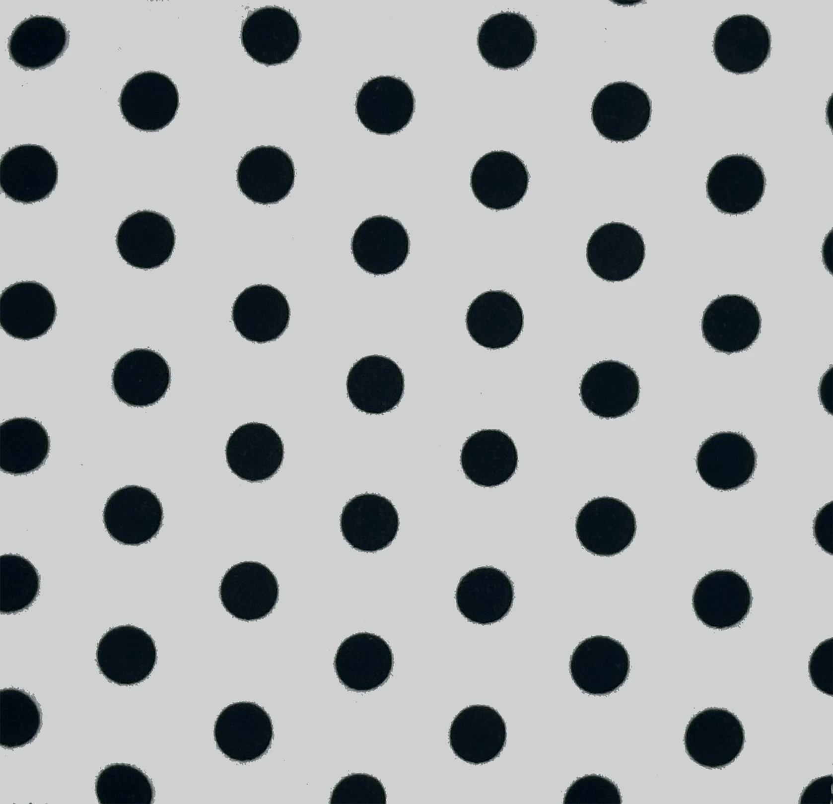 White & Black Dots Baby Paper with Loop Baby Paper Lil Tulips