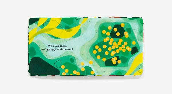 Who Laid These Eggs? - Lift-The-Flap Abrams Lil Tulips