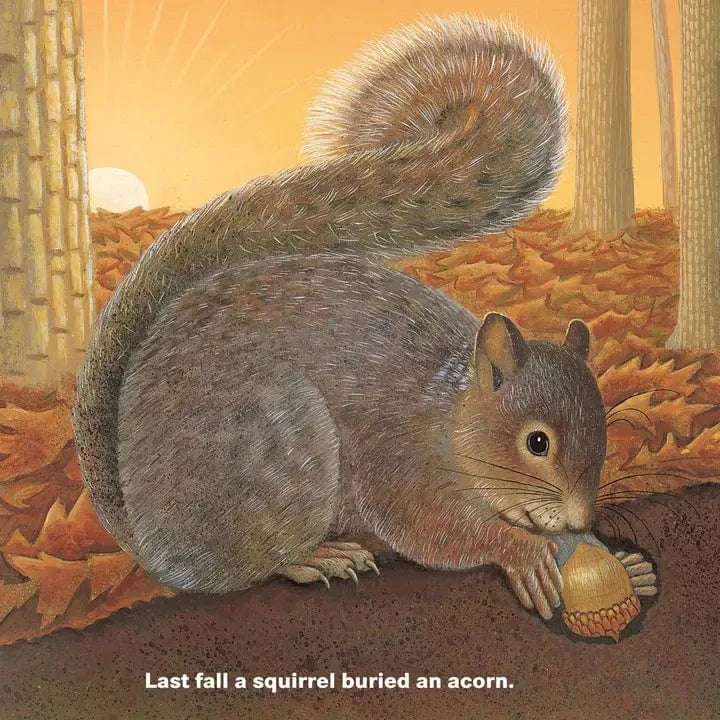 Who Will Plant A Tree - Hardcover Picture Book Sleeping Bear Press Books Lil Tulips