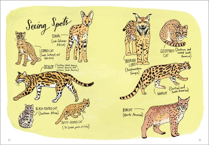 Wildlife Anatomy Book Hachette Lil Tulips