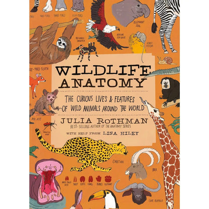 Wildlife Anatomy Book Hachette Lil Tulips