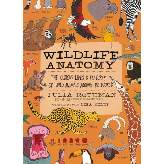 Wildlife Anatomy Book Hachette Lil Tulips