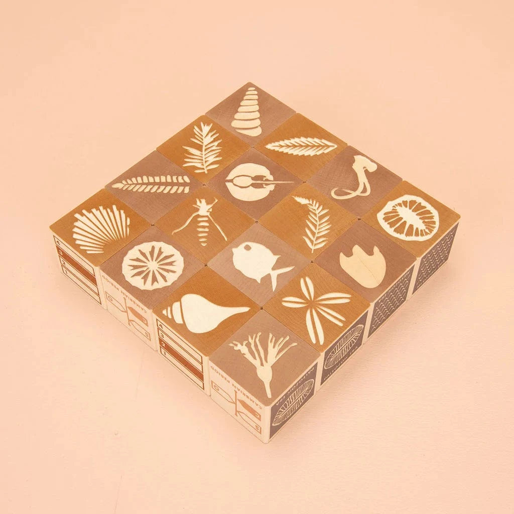 Wooden Fossil Blocks Uncle Goose Lil Tulips