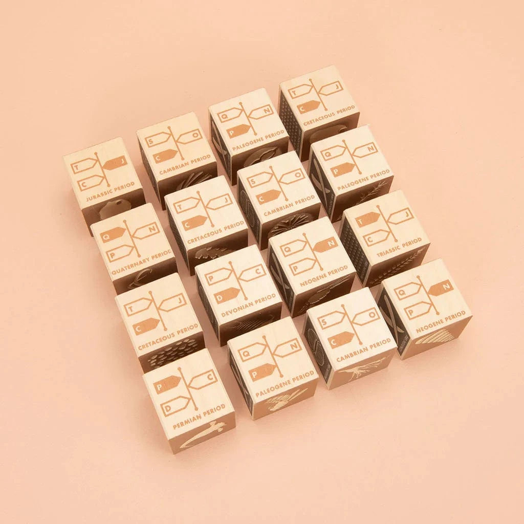 Wooden Fossil Blocks Uncle Goose Lil Tulips