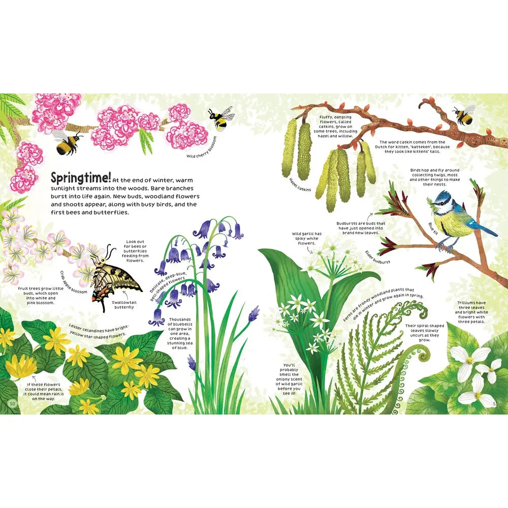 Woodland Book Harper Collins Childrens Lil Tulips
