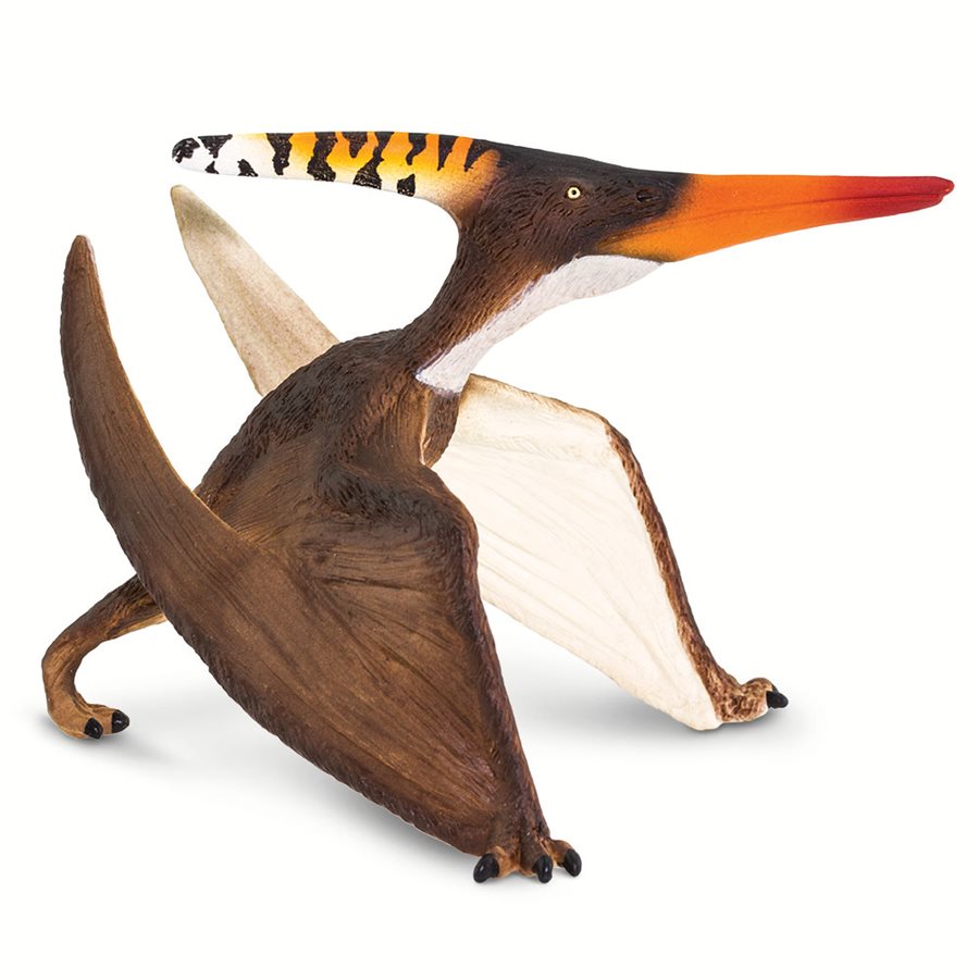 Pteranodon Toy