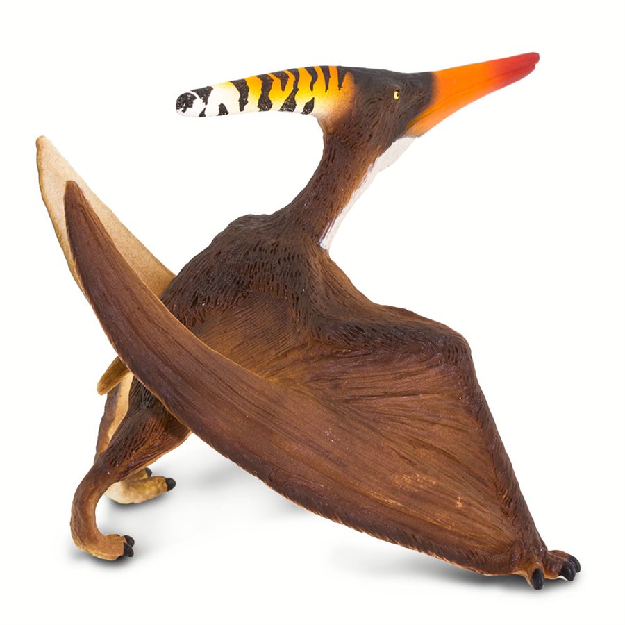 Pteranodon Toy