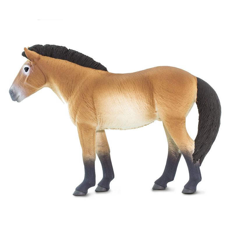 Przewalski's Horse Toy