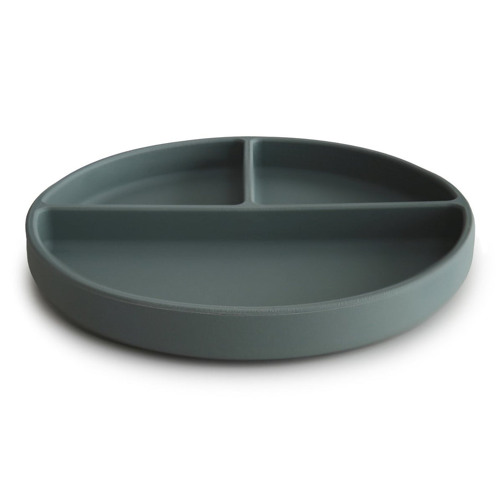 Divided Silicone Suction Plate (Dried Thyme)