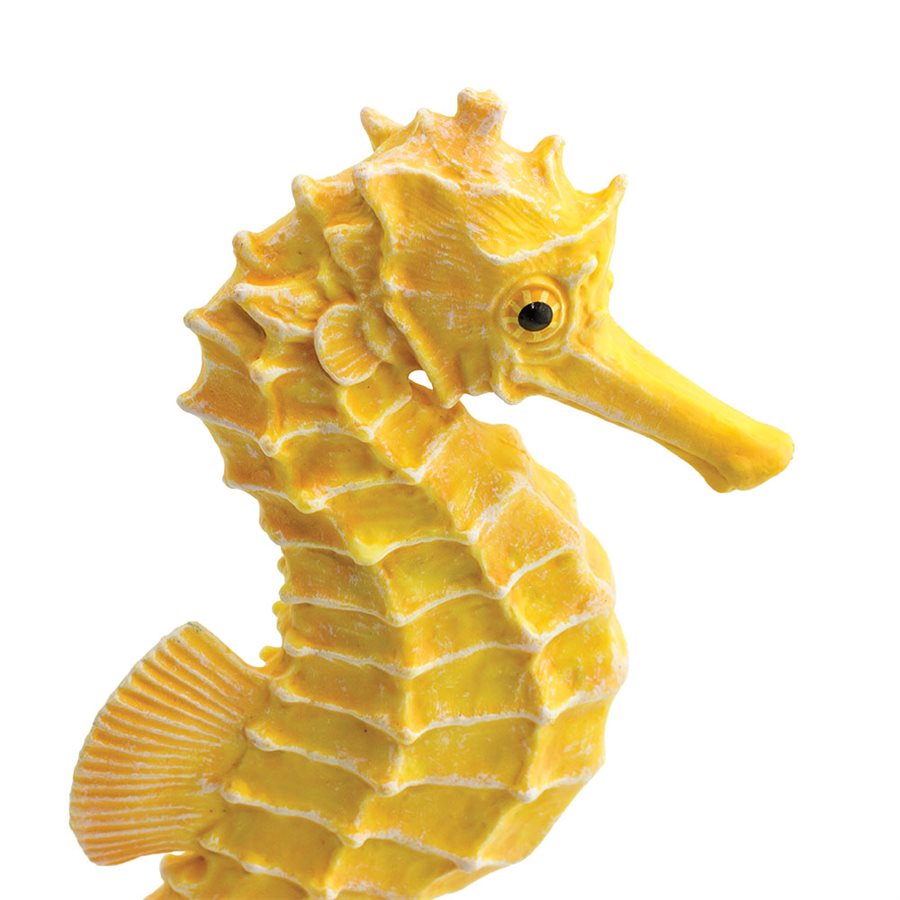 Seahorse Toy