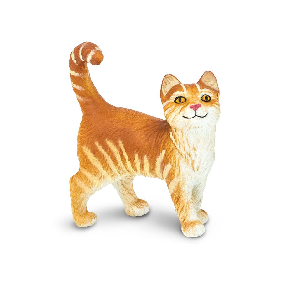 Tabby Cat Toy