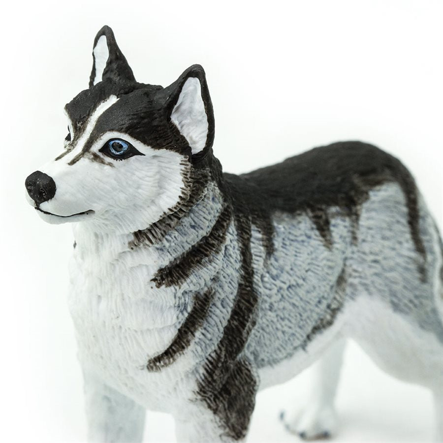 Siberian Husky Toy