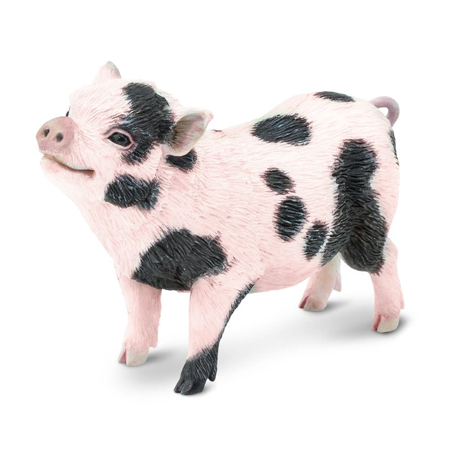 Pot-Bellied Pig Toy