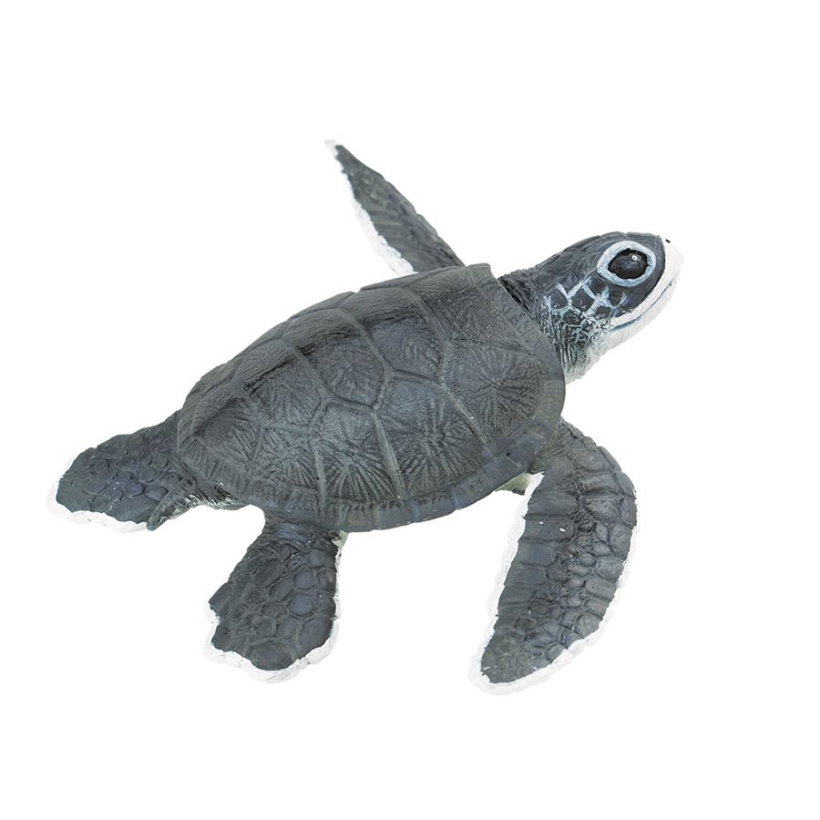 Sea Turtle Baby Toy