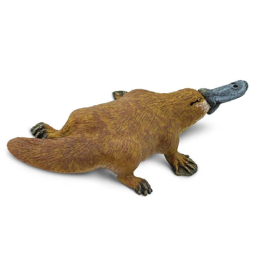 Platypus Toy