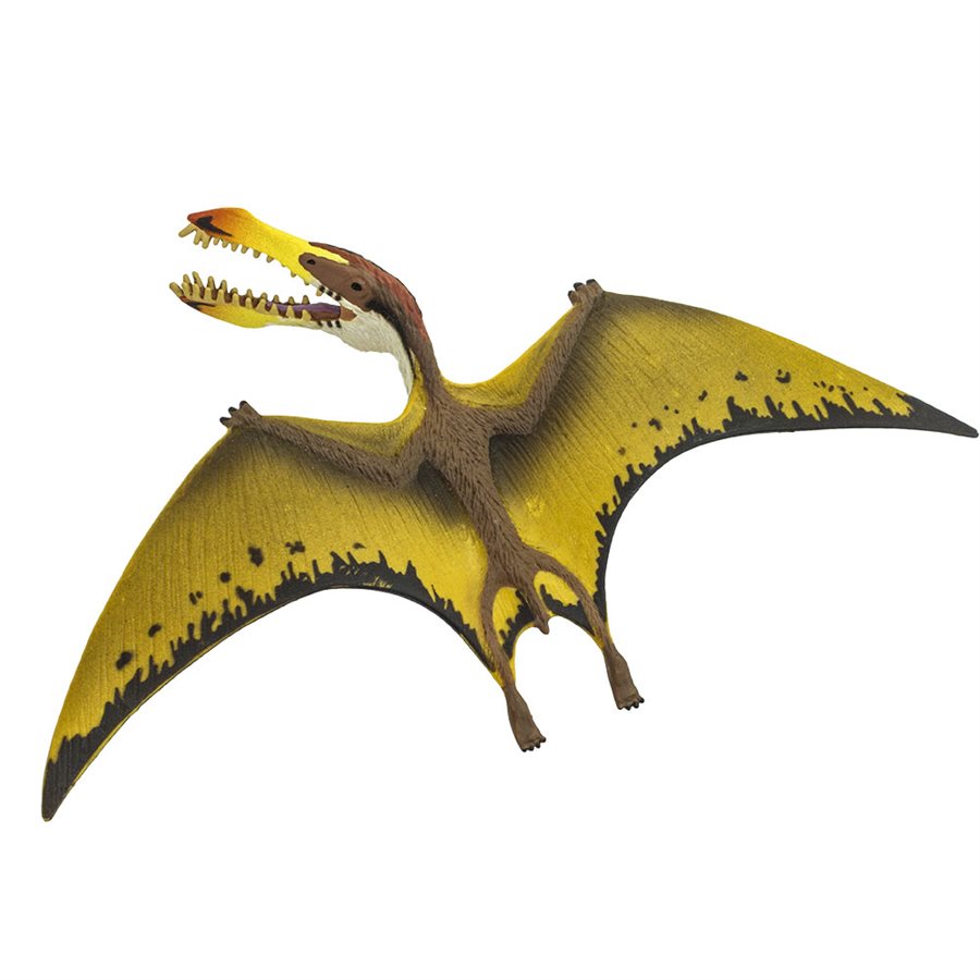 Pterosaur Toy
