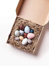 A Dozen Bird Eggs in a Box Moon Picnic Lil Tulips