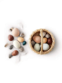 A Dozen Wooden Bird Eggs Basket Moon Picnic Lil Tulips