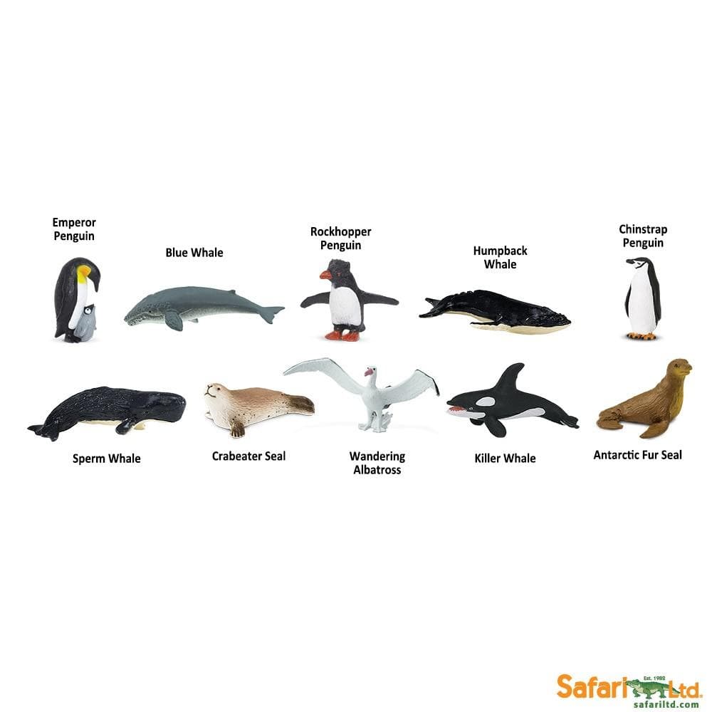 Antarctica TOOB® Safari Ltd Lil Tulips