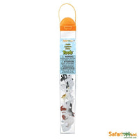 Arctic TOOB® Safari Ltd Lil Tulips