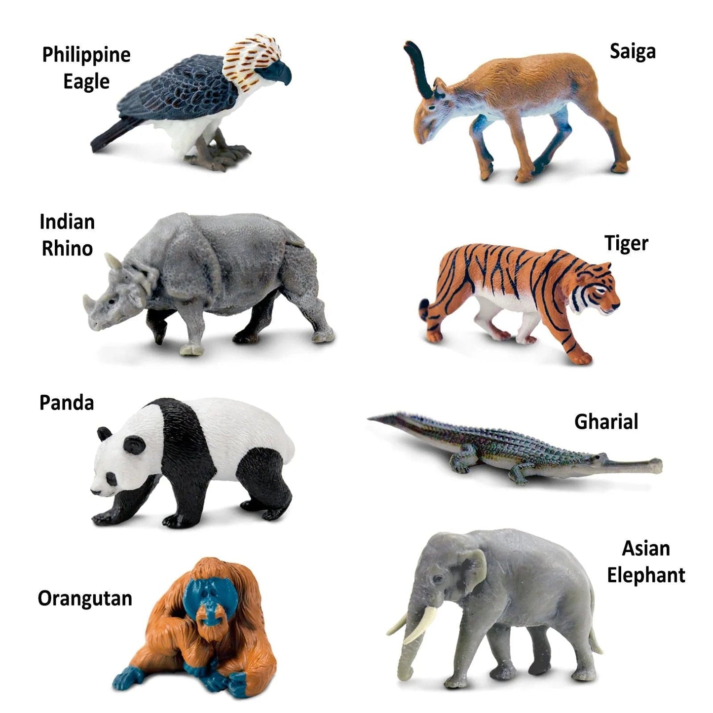Asian Animals TOOB® Safari Ltd Lil Tulips