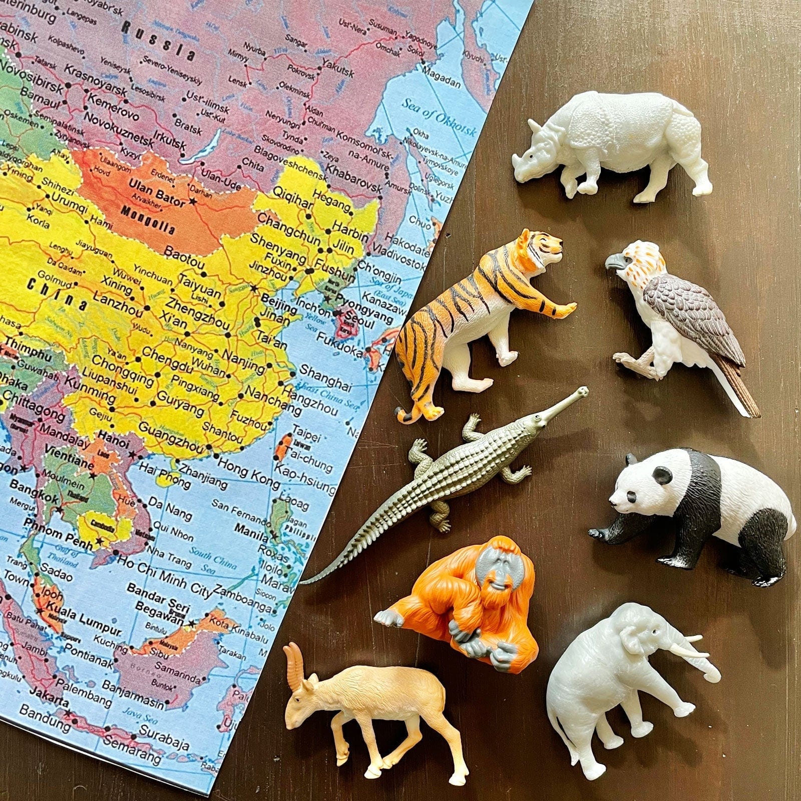 Asian Animals TOOB® Safari Ltd Lil Tulips