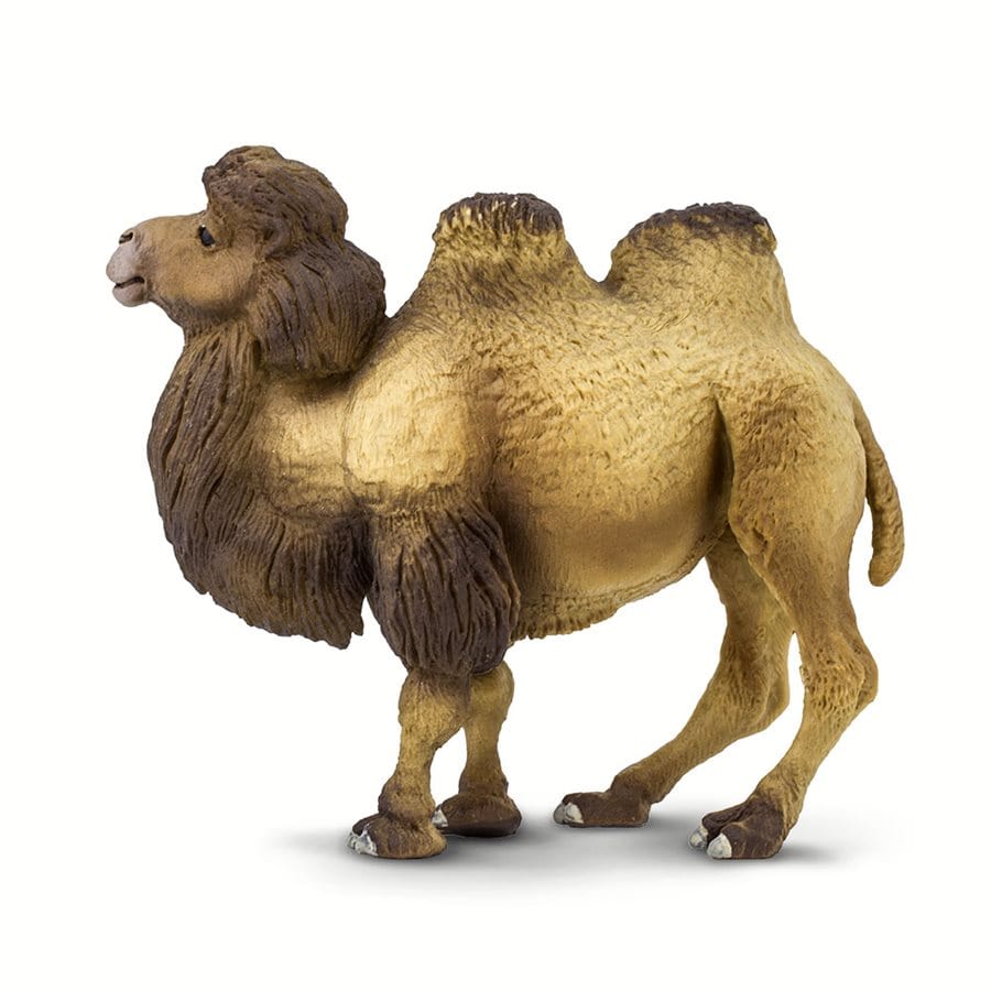 Bactrian Camel Toy Safari Ltd Lil Tulips