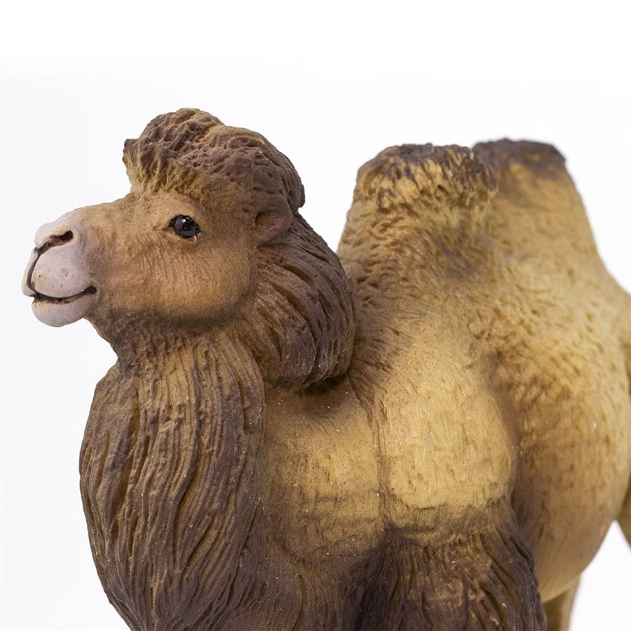 Bactrian Camel Toy Safari Ltd Lil Tulips
