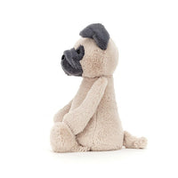 Bashful Pug Medium JellyCat JellyCat Lil Tulips