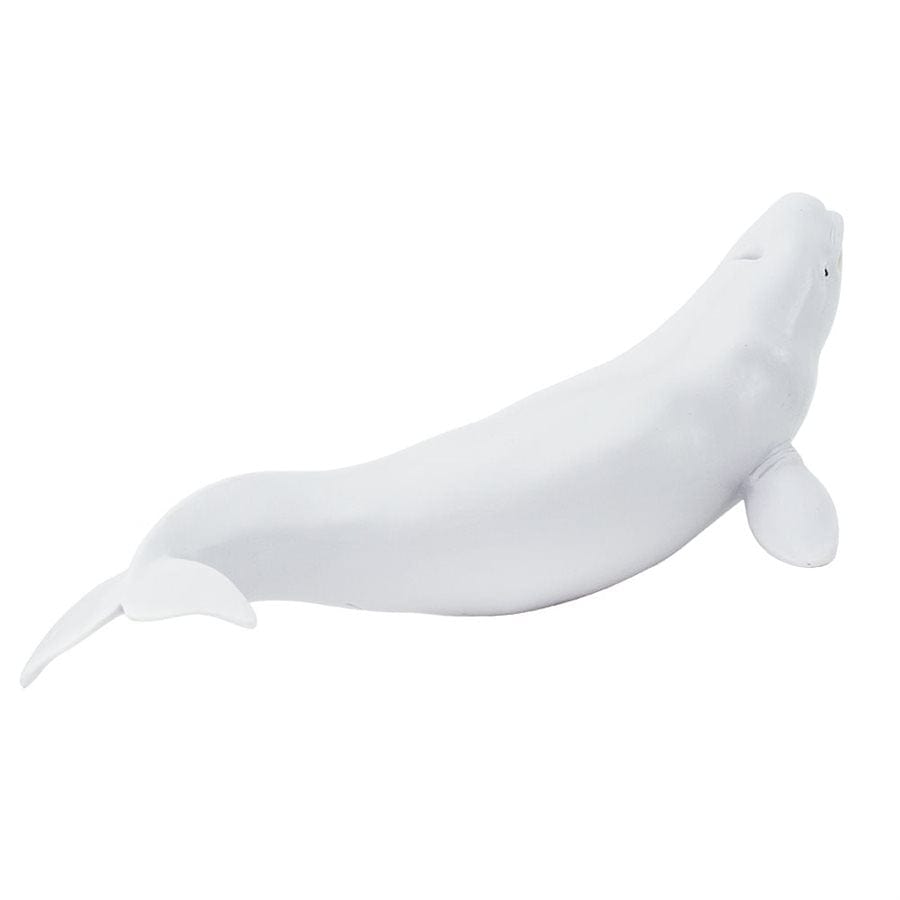 Beluga Whale Toy Safari Ltd Lil Tulips
