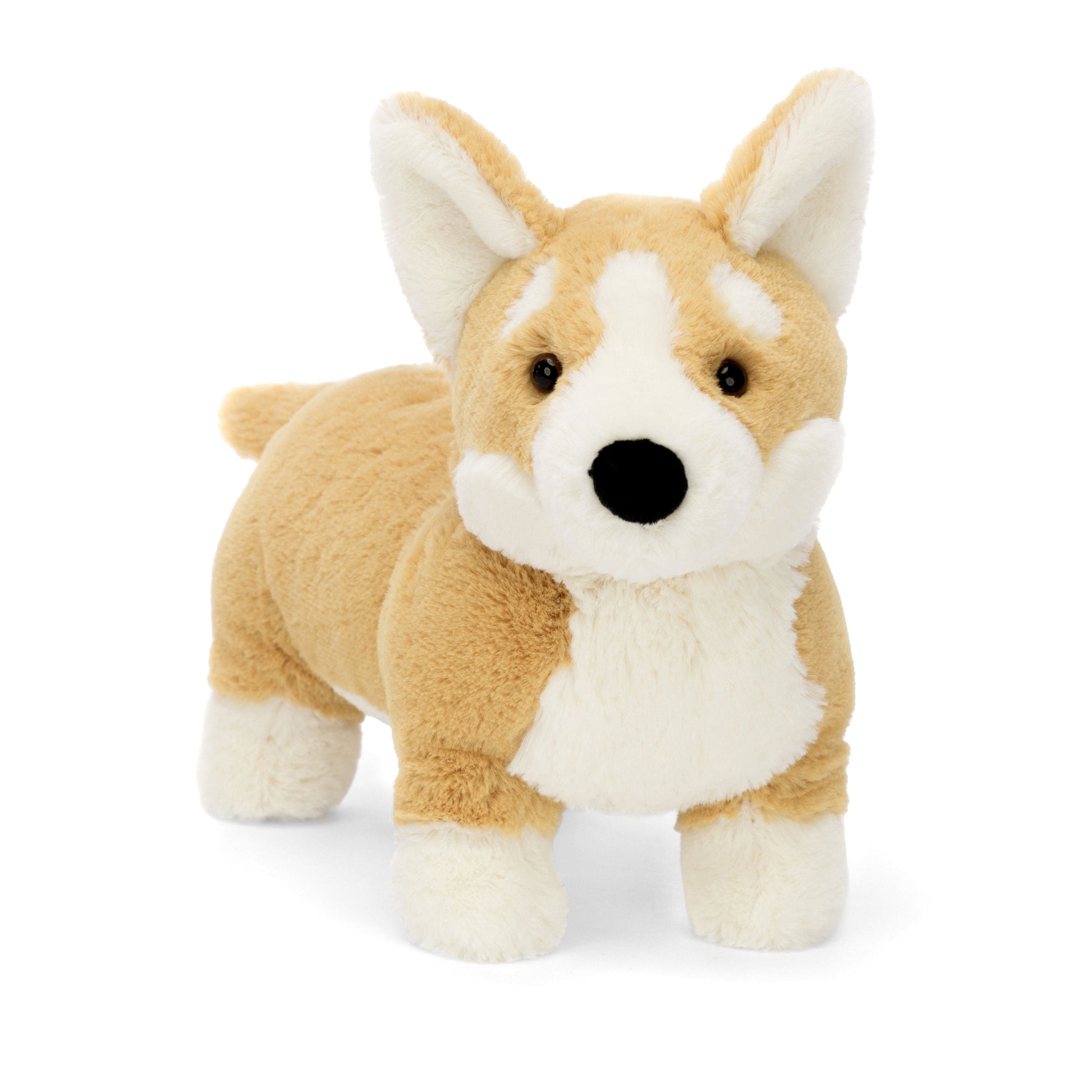 Betty Corgi JellyCat JellyCat Lil Tulips