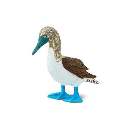 Blue Footed Booby Toy Safari Ltd Lil Tulips