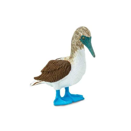 Blue Footed Booby Toy Safari Ltd Lil Tulips
